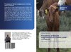 Prevalence of Bovine anaplasmosis in Girinka cattle in Rwanda