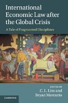 International Economic Law after the Global Crisis