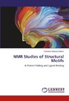 NMR Studies of Structural Motifs