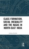 Class Formation, Social Inequality and the Nagas in North-East India