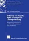 Sicherung von Property Rights bei komplexer Leistungserstellung