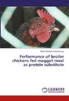 Performance of broiler chickens fed maggot meal as protein substitute