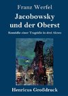 Jacobowsky und der Oberst (Großdruck)