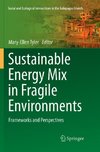 Sustainable Energy Mix in Fragile Environments