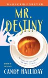 Mr. Destiny