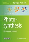 Photosynthesis