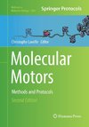 Molecular Motors