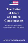 The Nation of Islam and Black Consciousness