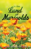 In The Land Of Marigolds