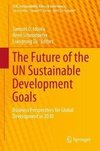 The Future of the UN Sustainable Development Goals