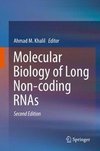 Molecular Biology of Long Non-coding RNAs