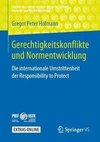 Gerechtigkeitskonflikte und Normentwicklung