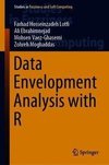 Data Envelopment Analysis with R