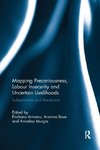 Mapping Precariousness, Labour Insecurity and Uncertain Livelihoods