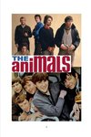 The Animals