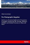 The Photographic Negative