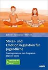 Stress- und Emotionsregulation für Jugendliche