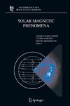 Solar Magnetic Phenomena