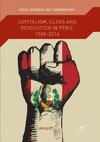 Capitalism, Class and Revolution in Peru, 1980-2016