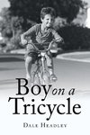 Boy on a Tricycle