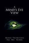 A Mind's Eye View