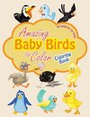 Amazing Baby Birds to Color Coloring Book