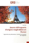 Jeunes délinquants d'origine maghrébine en France