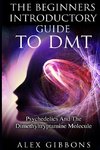 The Beginners Introductory Guide To DMT -  Psychedelics And The Dimethyltryptamine Molecule