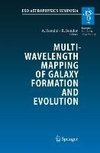 Multiwavelength Mapping of Galaxy Formation and Evolution