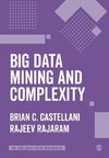 Big Data Mining and Complexity