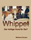 Whippet