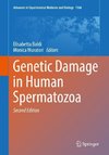 Genetic Damage in Human Spermatozoa