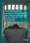 The Social Impact of Custody on Young People in the Criminal Justice System