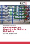 Fundamentos de Mecánica de Fluidos e Hidráulica