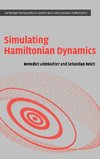 Simulating Hamiltonian Dynamics