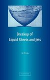 Breakup of Liquid Sheets and Jets