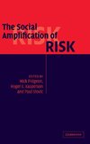 The Social Amplification of Risk