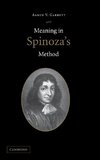 Meaning in Spinoza's Method