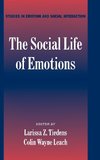 The Social Life of Emotions