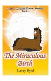 The Miraculous Birth