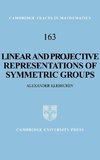 Linear and Projective Representations of Symmetric Groups