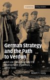 German Strategy and the Path to Verdun