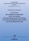 Der Schutz der sozialen Grundrechte unter besonderer Berücksichtigung der Rechtslage in der Bundesrepublik Deutschland und in der Republik Chile