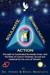 SOULMATE COSMOLOGICAL ACTION