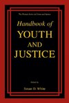 Handbook of Youth and Justice