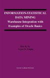 Information-Statistical Data Mining