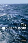 The Turbulent Ocean