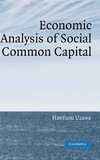 Economic Analysis of Social Common Capital