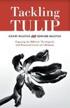 Tackling Tulip