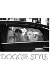 Doogie  Style Journal